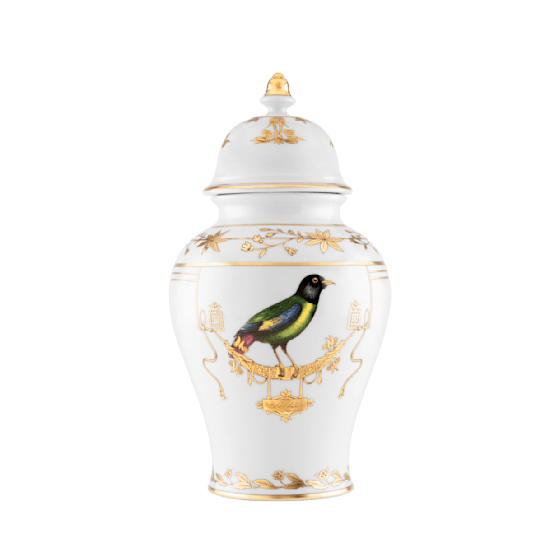 Ваза с крышкой H38 см., VOLIERE от Ginori 1735, 016RG02 FA5356010380G00172400